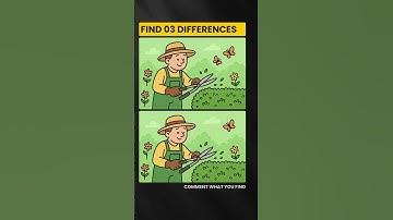 Find the differences #82 #puzzle