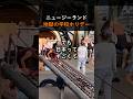 ニュージーランドのスクールホリデーが地獄すぎる　#海外移住 #ニュージーランド #海外子育て