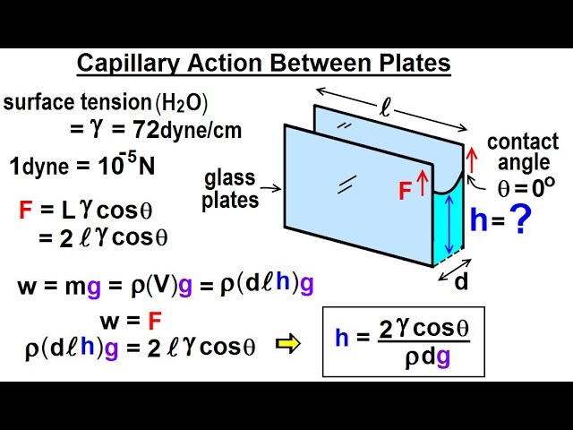 Physics Ch 33a Test Your Knowledge Fluid Statics 31 Of 42 Capillary Action Between Plates Youtube