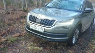 Kodiaq Through The Puddle