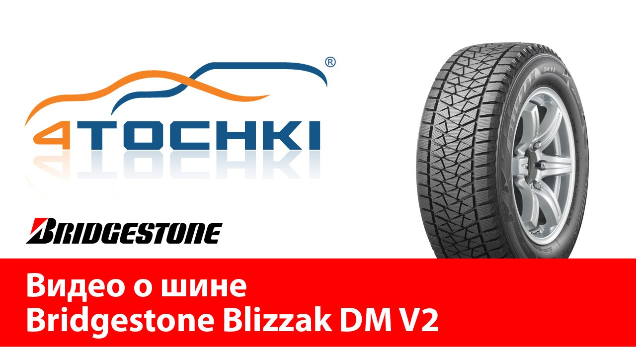 Bridgestone Blizzak DM V2 