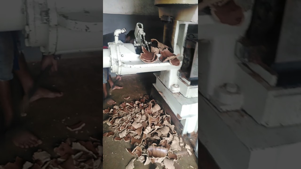 lankan coconut oil expeller red lion .9b