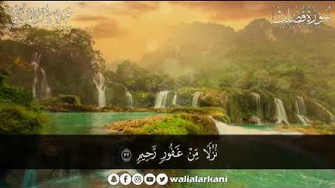 سورة فصلت ( كاملة ) للقارئ عبد الولي الاركاني