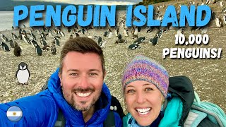 WALKING WITH PENGUINS at the END OF THE WORLD! USHUAIA'S PENGUIN ISLAND & LAGUNA ESMERALDA HIKE