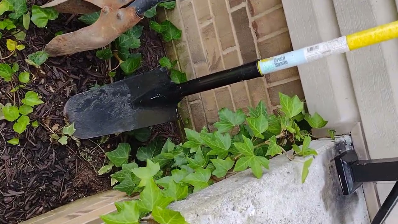 Hands rails and Braces installed summer of 2025 .  Cost $400