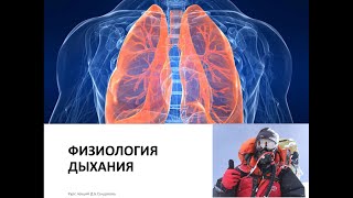 Лекция 15.  Физиология дыхания