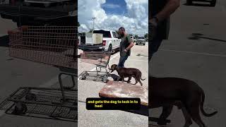 Rescue Dog Learns to Heel Using a Shopping Cart Home Depot Training Session