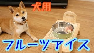 暑いので犬用 フルーツアイス を作ってみた【豆柴ポン太くん】柴犬のおやつ shibainu
