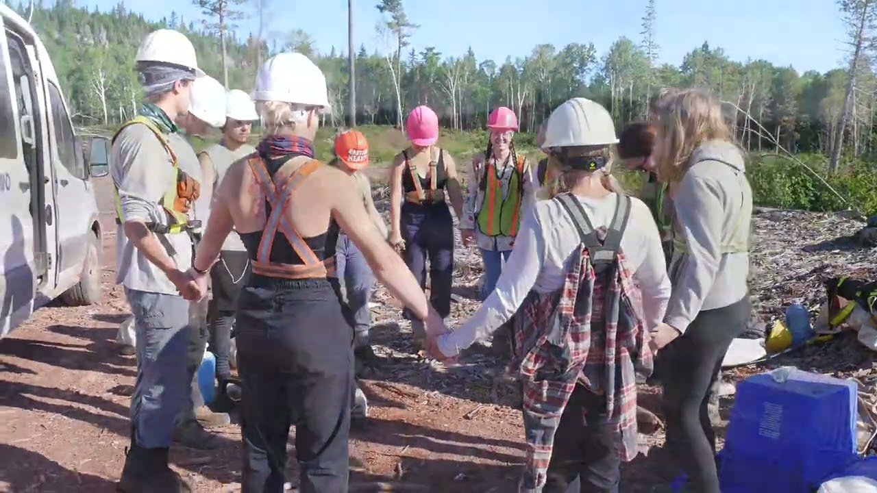 Outland Tree Planting | Canada's Leading Reforestation Contractor Since 1985