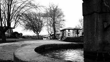 Library Tapes - Leaves Abstract In A Village Plunged Into Mourning (feat. colleen)