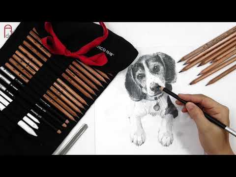 Video [ARTDOOR.VN] Review - Bộ dụng cụ vẽ tranh chì truyền... - youtube