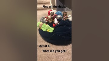 Find the ducks#duck #rubberduck #rubberducky #findthedifference