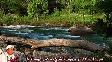 سورة المنافقون بصوت الشيخ/ محمد أبوسنينة - Surat Al Munafiqun