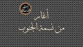 أسير الأصالة:  أغار من نسمة الجنوب