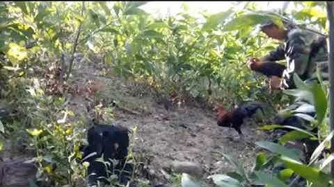 Yos Hav Zoov 2017-2018 Cuab QaIb Qus