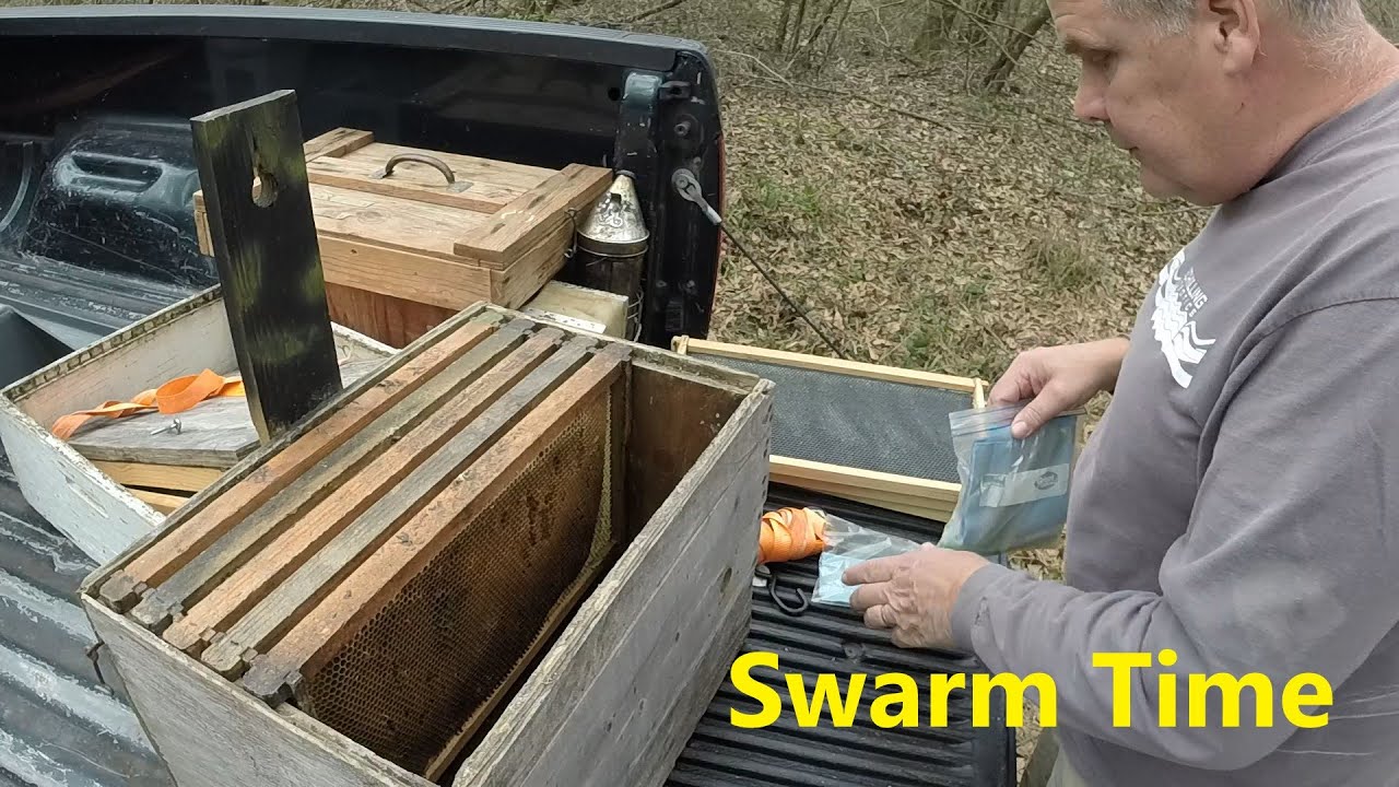 Swarm Traps Are Going Up - YouTube