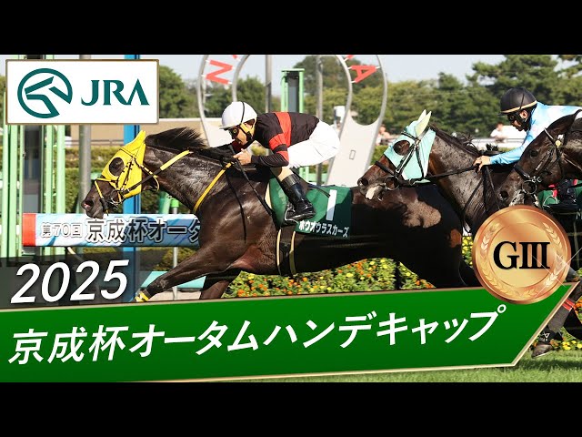 こ*ん様 JRA 競馬 2023年京成杯優勝時レプリカゼッケン ソウルラッシュ sddefault.jpg