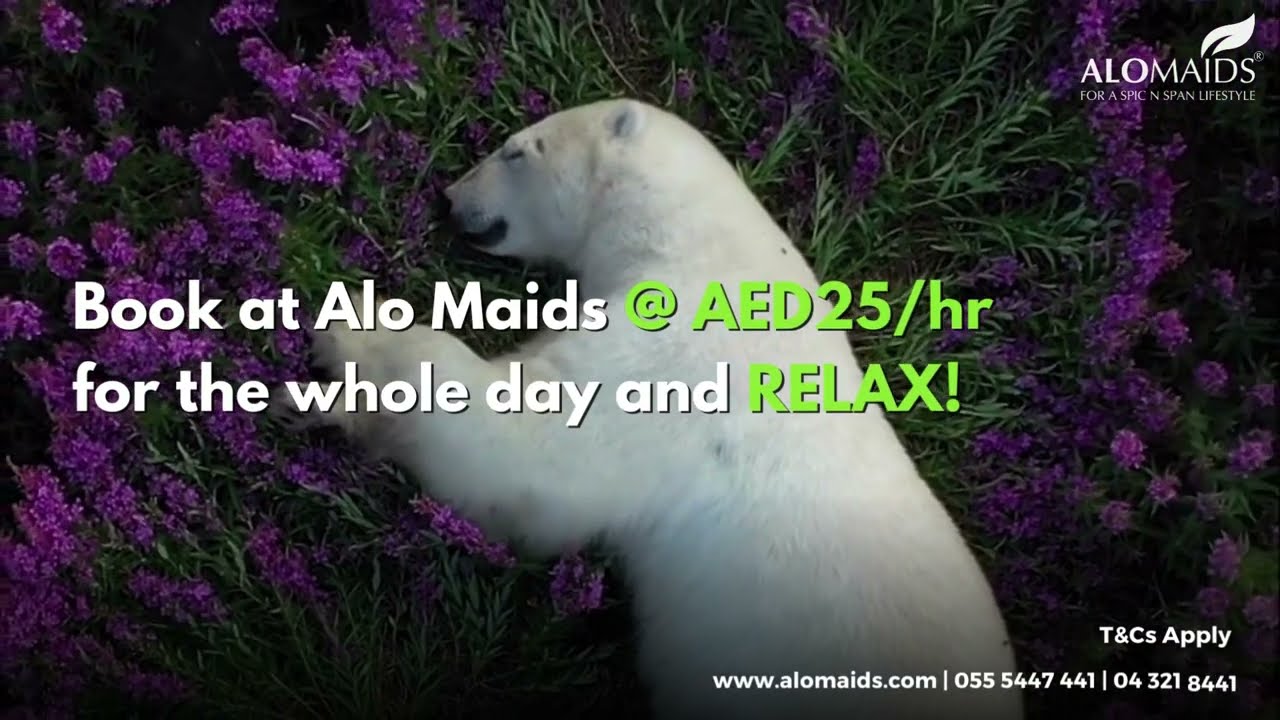 All You Need is Alo Maids - Best Cleaning Company in Dubai