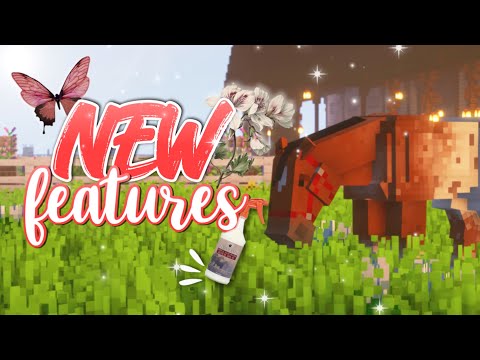 NEW FEATURES ON