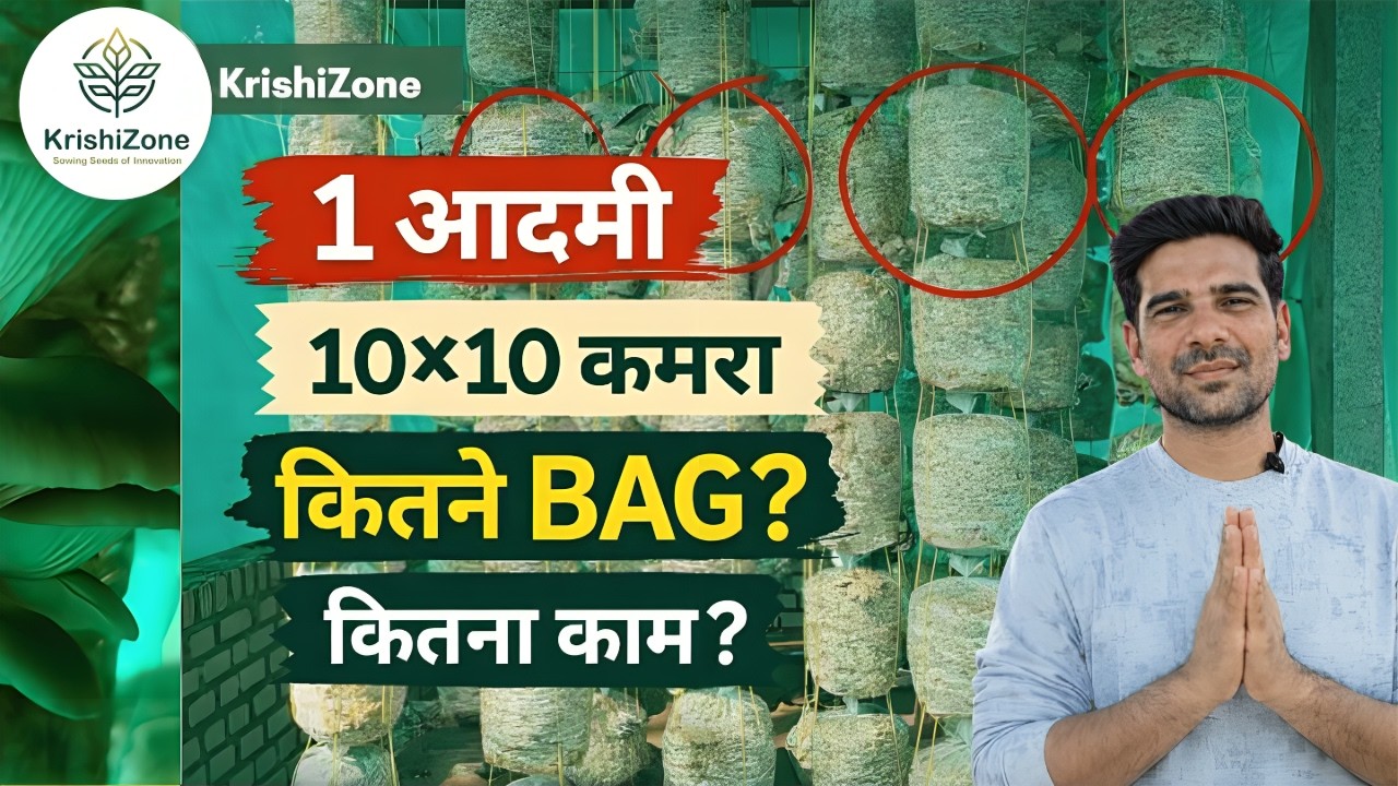 10×10 Shed Planning Guide 🔥 1 आदमी कितने Bag चला सकता है?