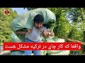 آغابیادر کاریگری در شهر ترابزون صد آفرین به جوانان وطنم....