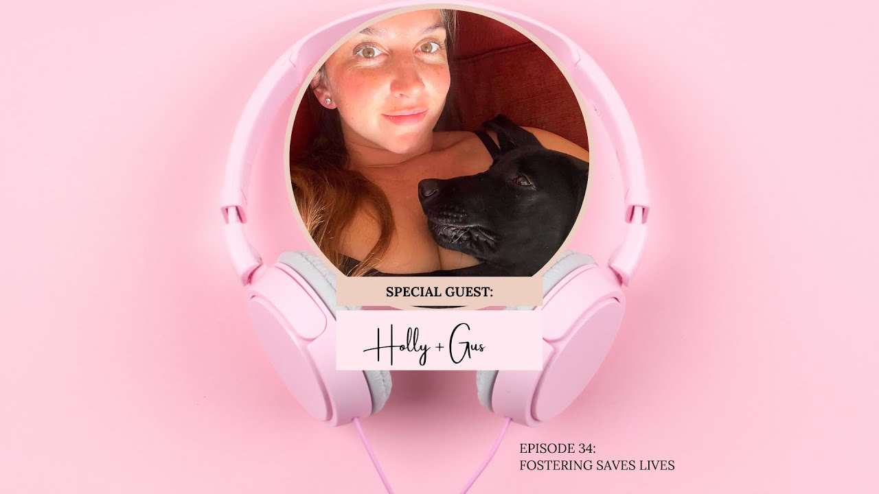 Fostering Animals Saves Lives: The Story of Sweet Gus, disabled Great Dane + Black Lab mix