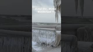 A Real-Life Winter Wonderland