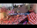 【ルームツアー】5.5畳のマイ・サンクチュアリー