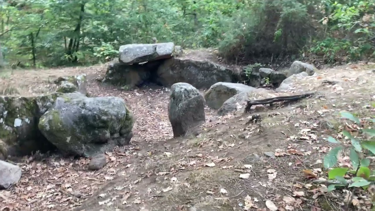 Summer walk in the countryside of Brittany - France