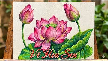 Chỉ Cần Màu Sáp – Vẽ Hoa Sen Đẹp Không Ngờ!
