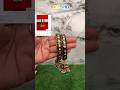 Rajwadi Bangle Set From Meesho #meesho