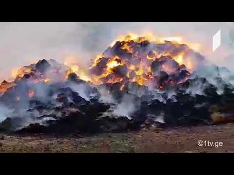 რუსთავში, ჭყონდიდელის დასახლებაში ხანძარია
