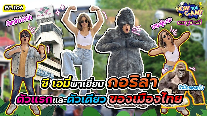 Now You C-Amy EP.106 I ซีเอมี่ พาเยี่ยมกอริล่า ตัวแรกและตัวเดียว ของเมืองไทย