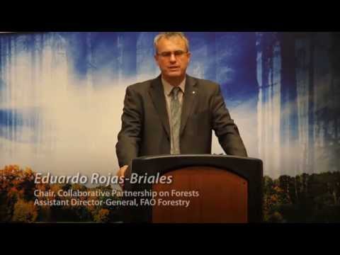 CPF Wangari Maathai Award 2014 – Eduardo Rojas-Briales