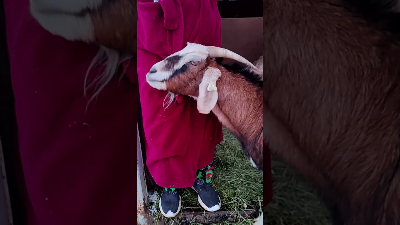 Mama that's my Husband! 