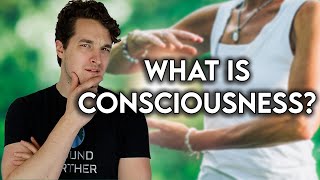 Defining  Consciousness