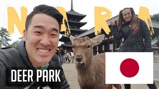 Nara Deer Park