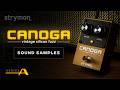 Video: STRYMON CANOGA VINTAGE FUZZ