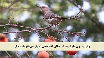 جز 9 ( سوره انفال از آیه 17 تا 25 ) با ترجمه فارسی صوتی و تصویری