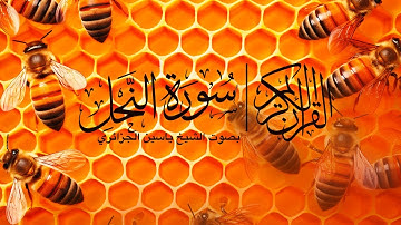 سورة النحل | بصوت ياسين الجزائري / Surah Al Nahl | Yassine Al-Jazairi #quran