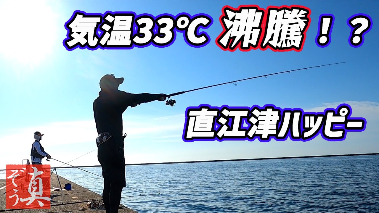 人気堤防貸切!泳がせ釣り生き餌茹だる灼熱地獄で足元に潜む魚を釣る