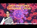 Virus: Protomer, Capsomere, Capsid:Why Vaccine are Loosing Efficacy?Is it Mutation? Science is Here!