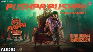 PUSHPA PUSHPA (Audio) Pushpa 2 The Rule | Allu Arjun | Sukumar | Rashmika | Siju Thuravoor | DSP