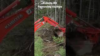 Kubota BX tractor removing stumps #shorts Kubota BX tractor removing stumps #shorts