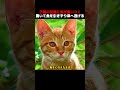 子猫の尻尾に魚が食いつく、驚いて魚を引きずり岸へ逃げる！のサムネイル