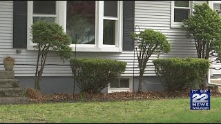 How to protect your home from termite damage