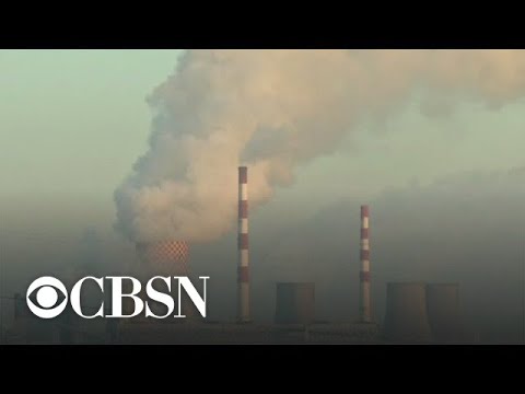 Carbon dioxide levels in the atmosphere hit record high