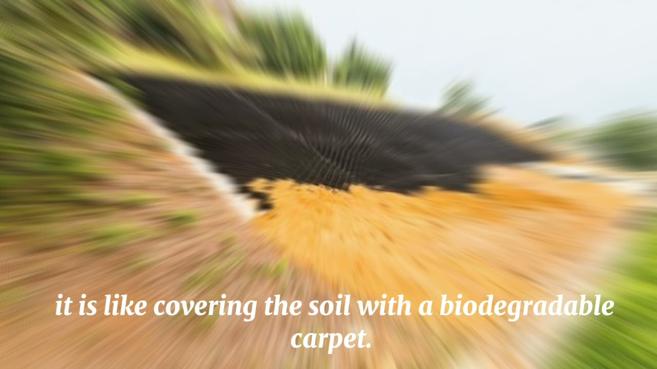 WAYS TO PREVENT EXCESSIVE EROSION AND WEATHERING (Infomercial Of Group 9)