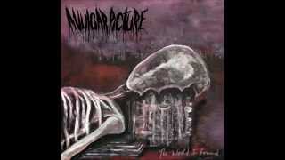 A Vulgar Picture - Vultures