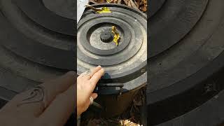 Ew! Compost bin bugs running everywhere!